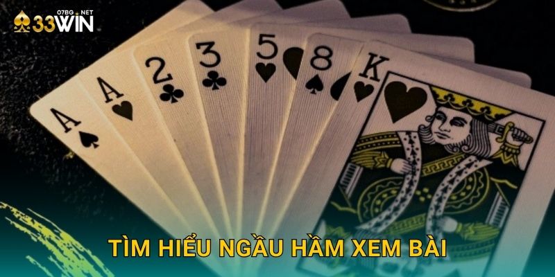 Ngầu Hầm Xem Bài 33win bg - Kịch Tính Từng Phút 2 Tìm hiểu ngầu hầm xem bài